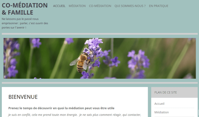 CaptureEcranComediation